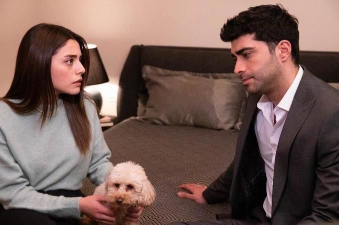 Eşiniz ve ailesi eve köpek getirmenize karşı çıksa ne tepki verirsiniz?