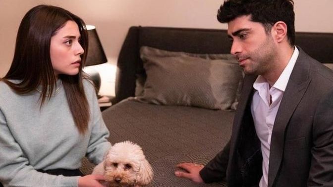 Eşiniz ve ailesi eve köpek getirmenize karşı çıksa ne tepki verirsiniz?