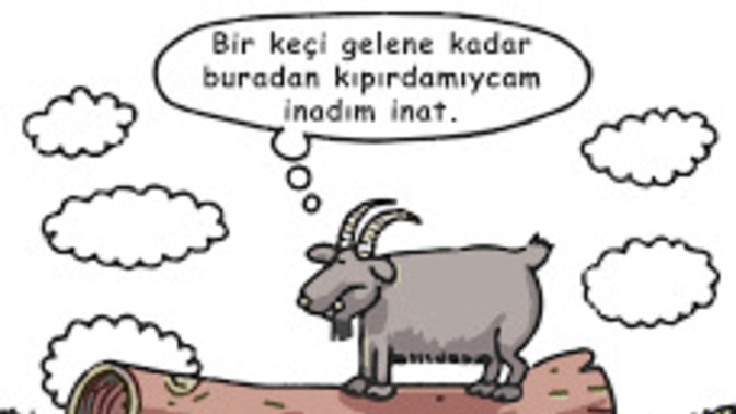 İnatçı insanları sever misiniz?