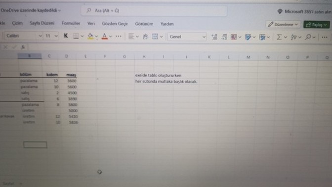 YouTube'ta Excel'i öğreniyorum ama silgiyi bulamadım bu ekranda, görebilen var mı?