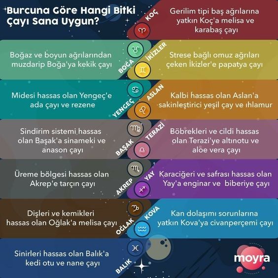 Burcuna göre hangi bitki çayı☕ sana uygun?
