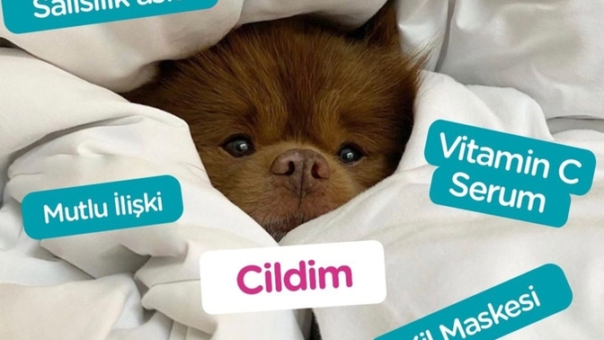 Cildinin en sevdiği şey ne?