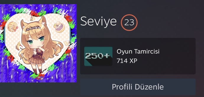 Steam seviyesi sizin için önemli mi?