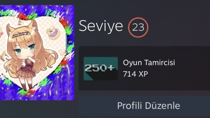Steam seviyesi sizin için önemli mi?
