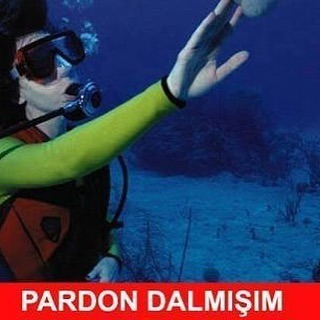 Soğuk espri yapalım mı?