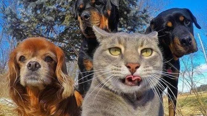 Erkek çocuk mu seversin yoksa kız mı?