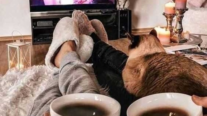 Sevgilinizle hangi filmi izlemek isterdiniz?