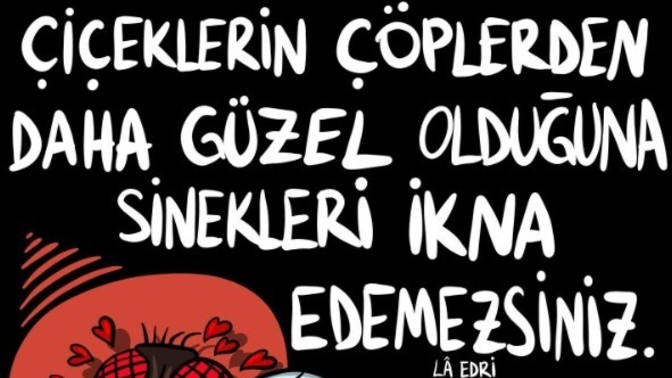 "Çiçeklerin çöplerden daha güzel olduğuna sinekleri ikna edemezsiniz." bu sözde ne anlatılmak isteniyor?