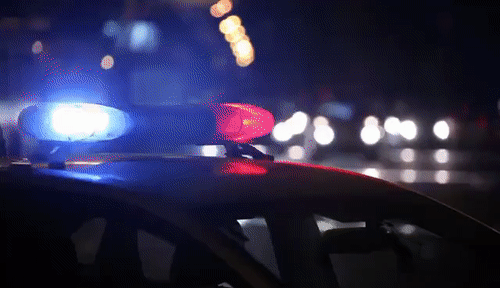 Dünyanın en hızlı polis arabaları sizce hangi ülkede?
