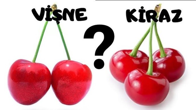 Kiraz mı Vişne mi hangisini daha çok seversiniz?