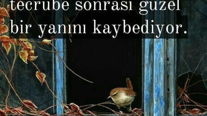 Neye yarar tecrübe? İnsanlardan uzaklaşmaya mı hayata küsmeye mi?