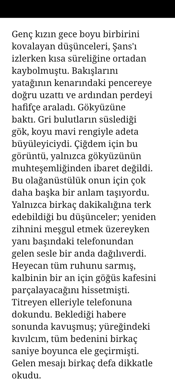 Lütfen okuyun. Sizce yazmaya başladığım romandan birkaç kısım nasıl olmuş?