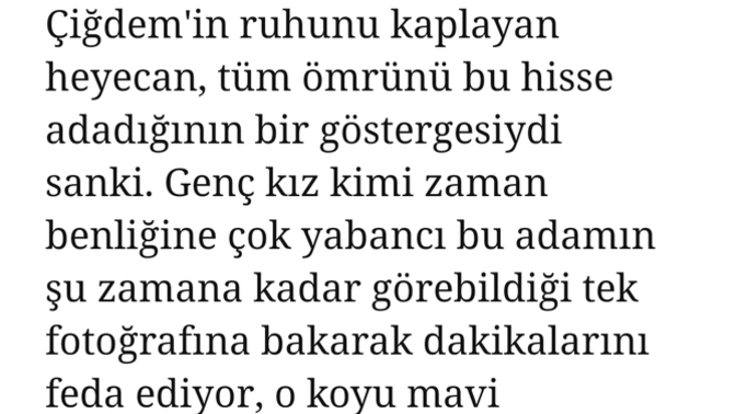 Lütfen okuyun. Sizce yazmaya başladığım romandan birkaç kısım nasıl olmuş?