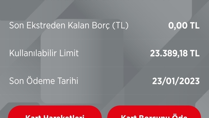 Bugün yaptığım kart borcu ne zaman gözükür?