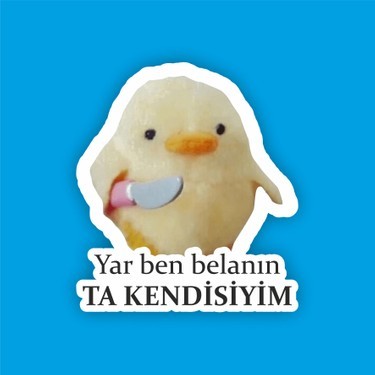 4 bira içtim çok tehlikeliyim şu an napmaliyim?