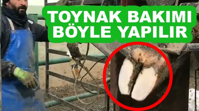 Tırnak bakımına ne kadar önem verirsin?