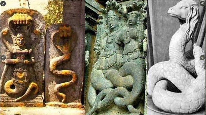 Şahmaran dizisi Reptilianları mı anlatıyor? Bu tarz şeylere inanıyor musunuz?