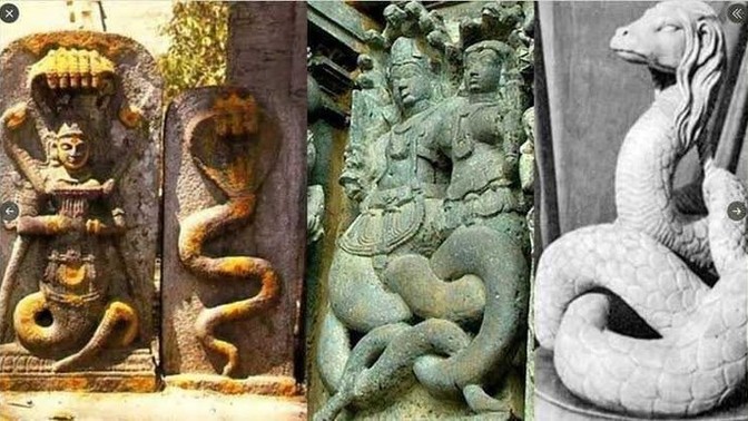 Şahmaran dizisi Reptilianları mı anlatıyor? Bu tarz şeylere inanıyor musunuz?
