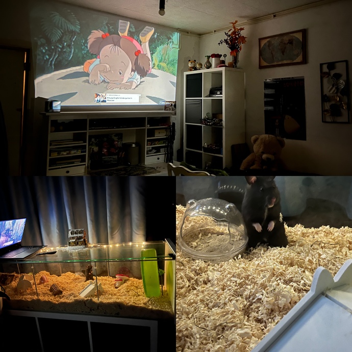 Film gecem için yaptığım hazırlık ve hamsterımın yeni kafesi nasıl?