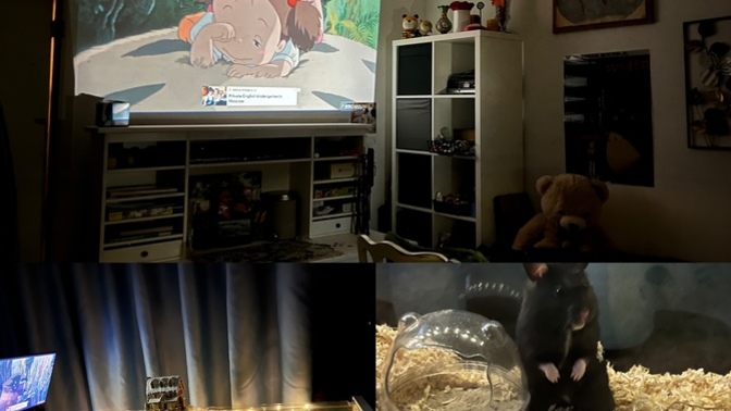 Film gecem için yaptığım hazırlık ve hamsterımın yeni kafesi nasıl?