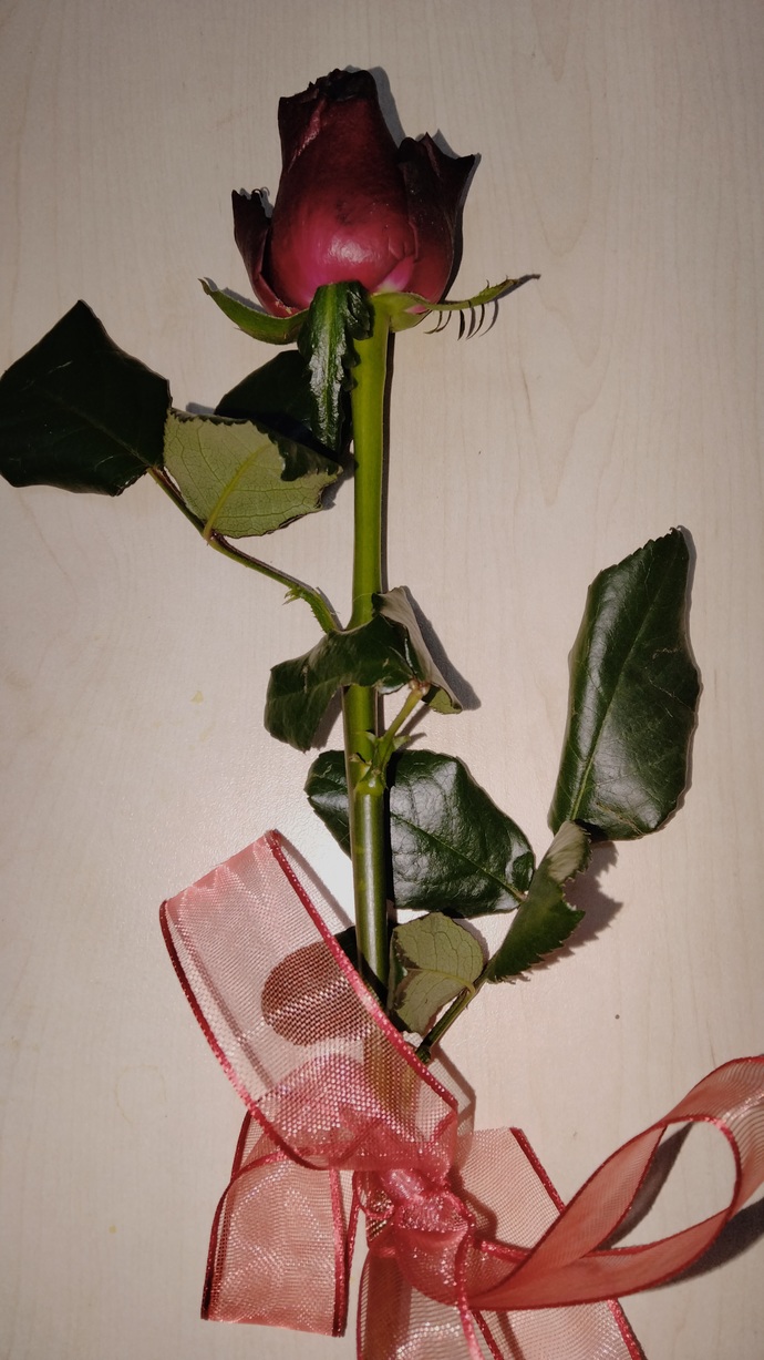 Geceleri seni ne ayakta tutar?