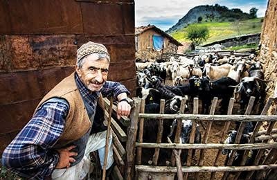 Çiftlik ve hayvancılık işi yapanla evlenir misiniz?