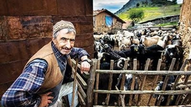 Çiftlik ve hayvancılık işi yapanla evlenir misiniz?