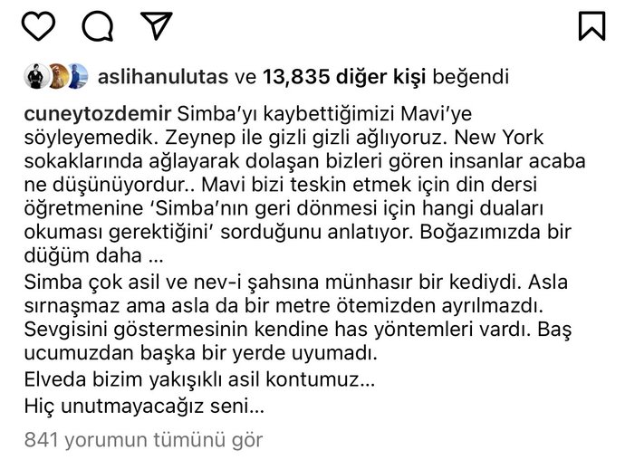 Gazeteci Cüneyt Özdemir, kayıp kedisi Simbayı ölmüş olarak buldu. Evcil hayvanınızın ölümü sizi ne kadar etkiler?