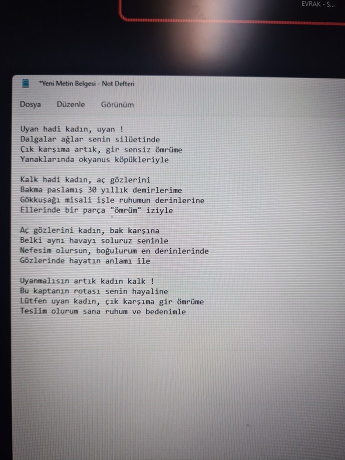 Amatörce yazdığım şiirime görüşlerinizi yazar mısınız?