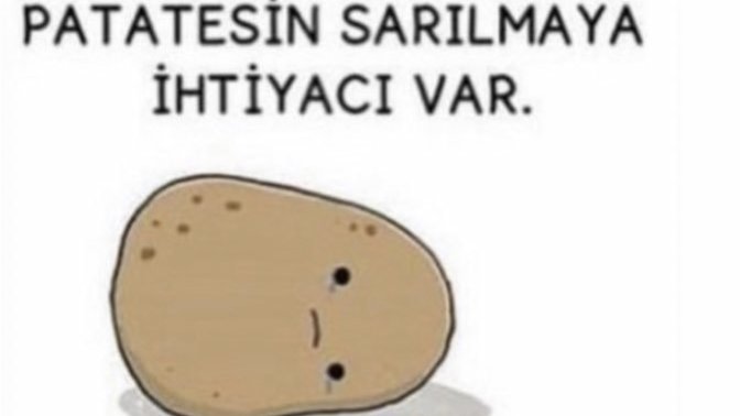 Bugün nasılsınız patatesler?