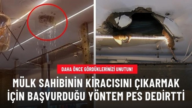 Kiracısını çıkarabilmek için tavanı delip aşağı sarımsaklı su döken şahıs hakkında ne düşünüyorsunuz?