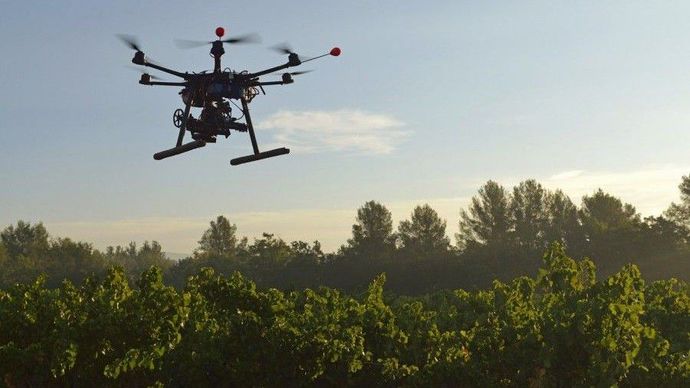 Dronları kullanarak 1 milyar ağaç dikmek mümkün olabilir mi?