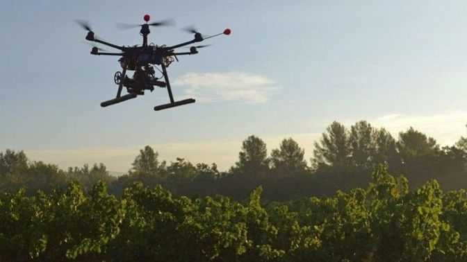 Dronları kullanarak 1 milyar ağaç dikmek mümkün olabilir mi?