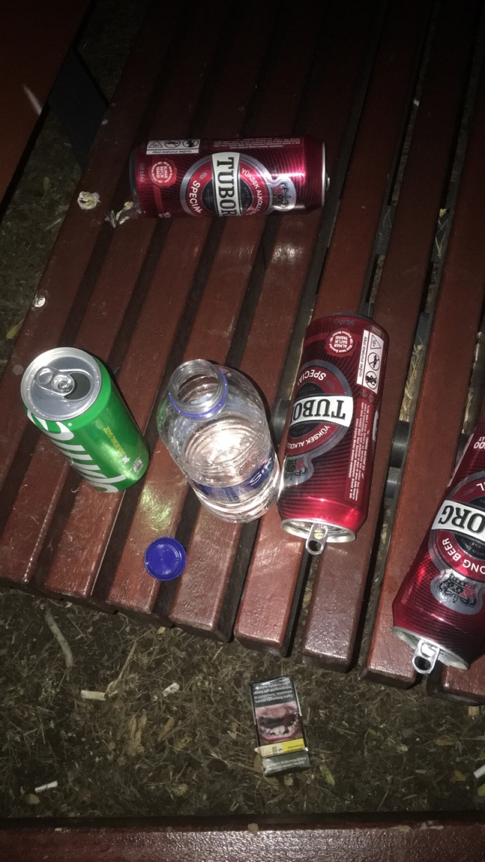 Alkol/Sigara kullanıyor musunuz?