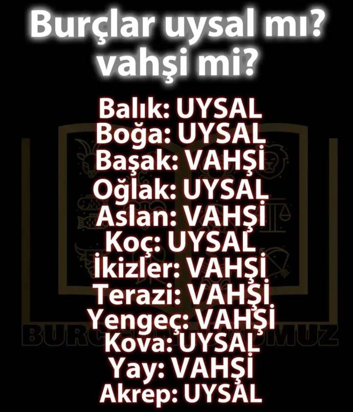 Vahşi çıktık iyi mi 😂😂😂🤷🏻♀️🤦🏻♀️