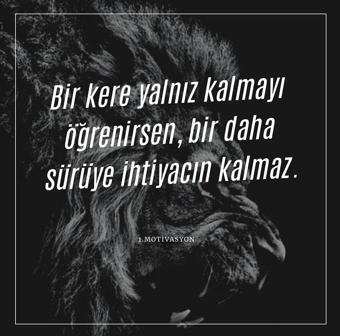 Yalnızlık size göre mi?