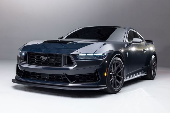 Mustang siyah veya kurşuni renk.