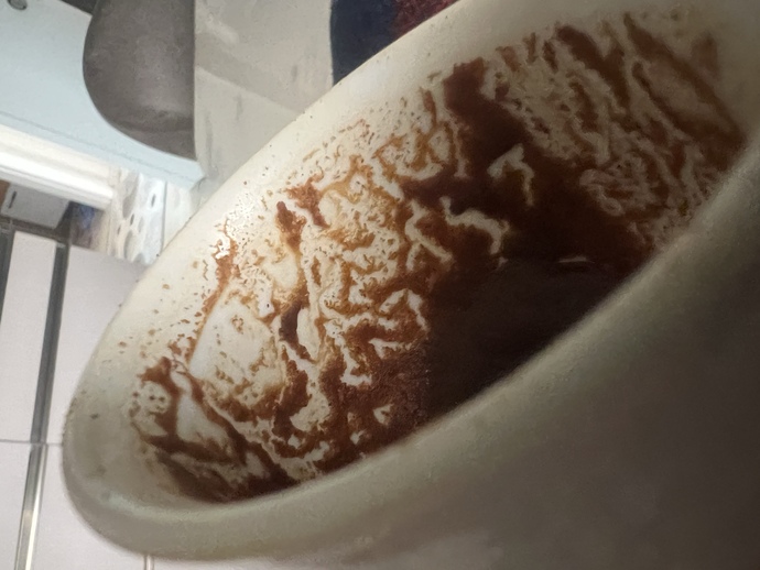 Kahve falı bakabilen varsa bakabilir mi şuna bi?
