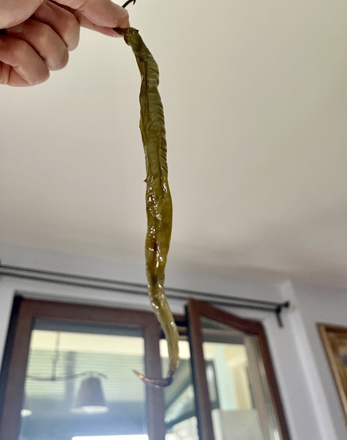 Közde biberle aranız nasıl? Sever misiniz köz biber?
