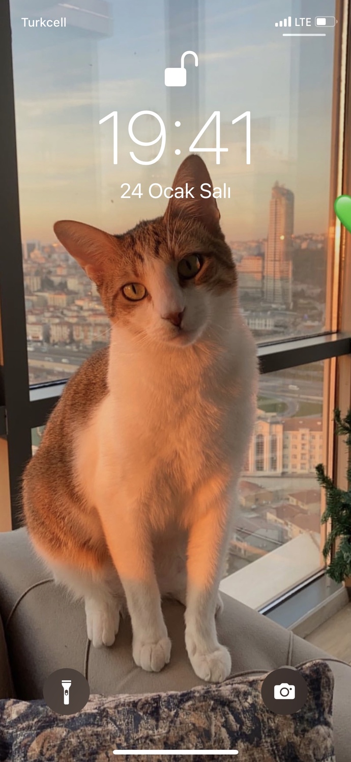Ekran fotoğrafınız hayata tutunma sebebinizmiş, sizin ekran fotoğrafınızda ne var?