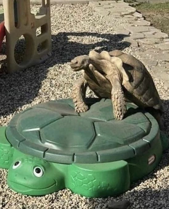 Birini unutmak için başka biriyle konuşmak mantıklı mı?