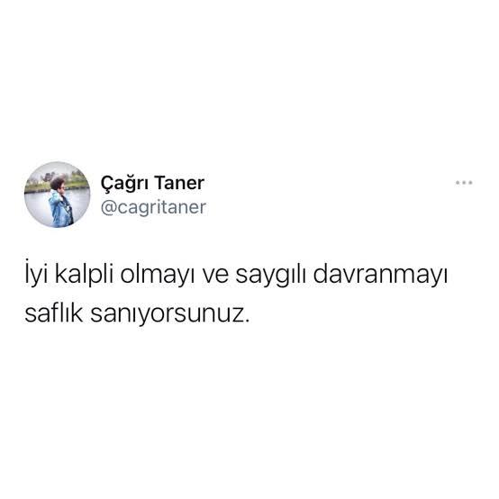 Saf olduğunuzu düşünüyor musunuz?