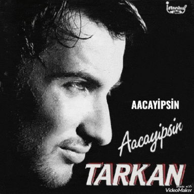 Tarkanın en iyi albümü sizce hangisi?