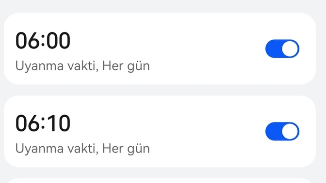Hayatınızı düzene koyanlardan mısın, düzene koymaya çalışanlardan mı, hayatını salanlardan mısın?