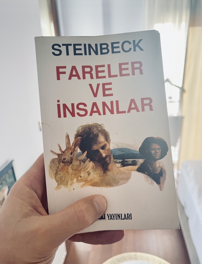 Şu an okuduğunuz bir kitap var mı?
