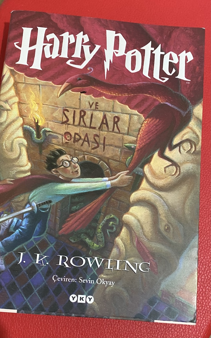 Şu an okuduğunuz bir kitap var mı?