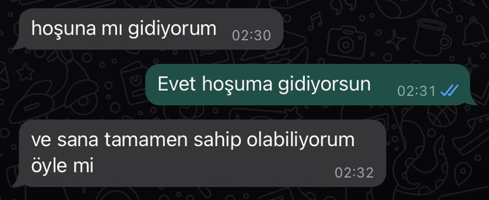 Ne söylemeye çalıştı burada sizce?