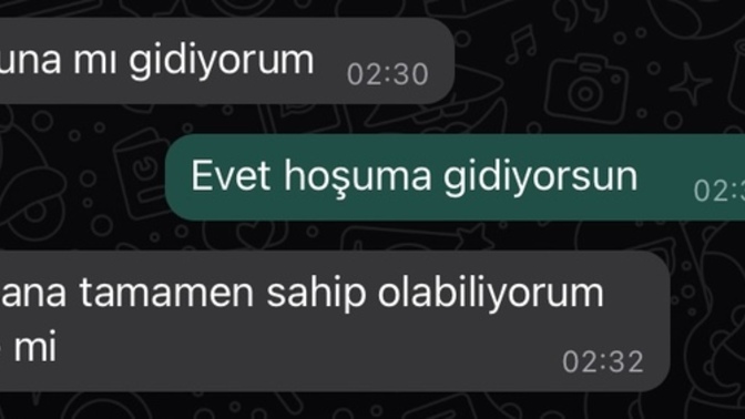 Ne söylemeye çalıştı burada sizce?