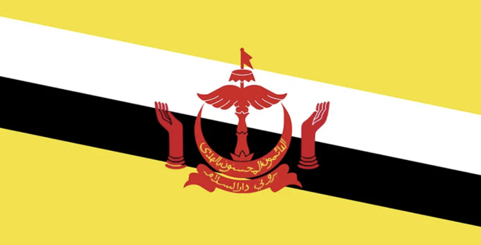 Brunei bayrağı