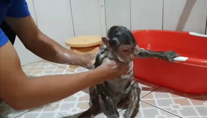😍çok merak ediyorum.. Kimler ne yapıyor aceba🤔😅?